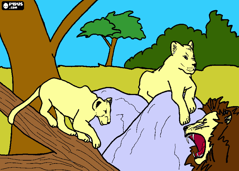 dessin lions